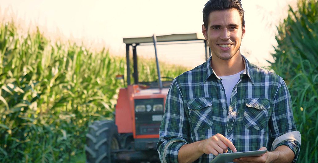 Stage lavorativo in ambito agricolo con inglese