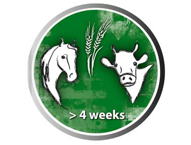 Stage lavorativo in ambito agricolo con inglese